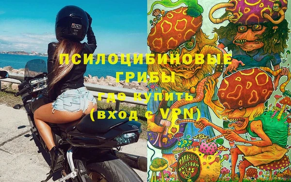 Альфа ПВП Алзамай